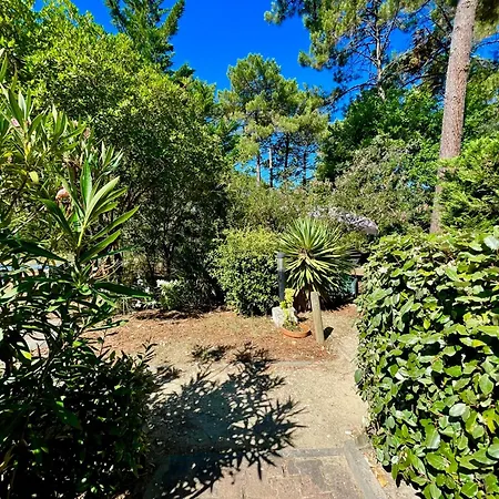 Lou Hapchot * Lacanau